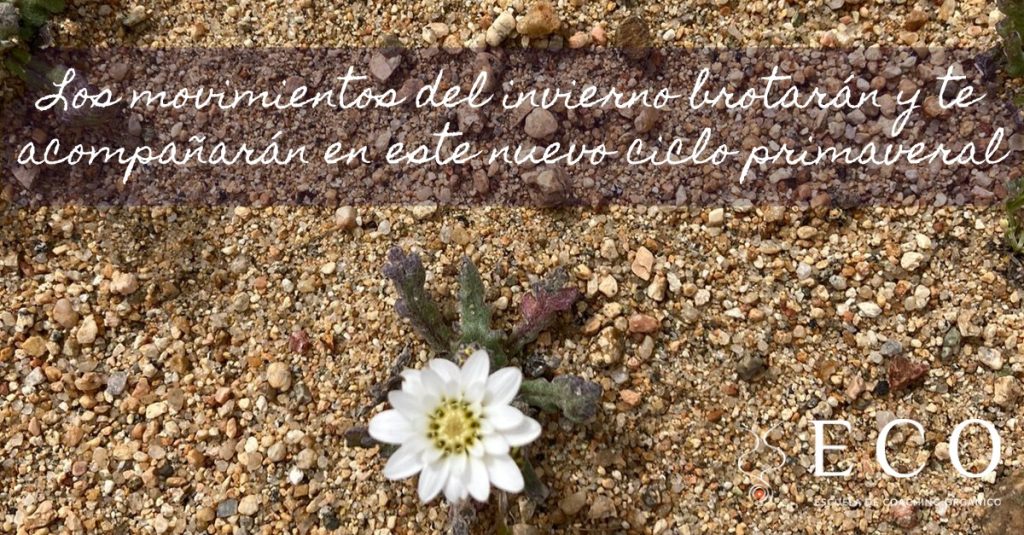 En momentos en que la humanidad vive un profundo cambio de nivel de conciencia, los individuos y grupos pasamos por constantes movimientos internos y externos que nos desafían, en ocasiones, más allá de lo que podemos sostener. Todo ser humano requiere desenvolverse, desarrollarse y evolucionar individual y socialmente.